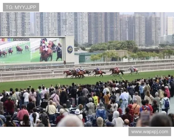 2026年赛马会网页版官方平台详细介绍及注册流程全攻略