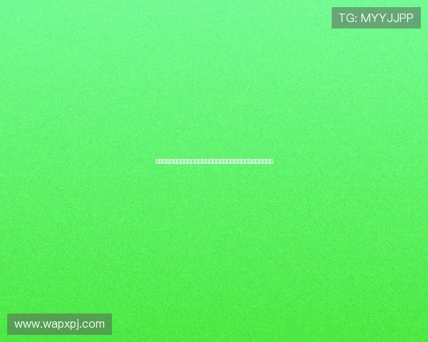 探索新葡京网页的安全保障措施，保障玩家个人信息与资金安全的详细指南